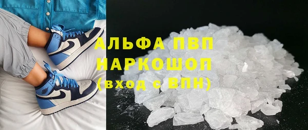 мяу мяу мука Гусиноозёрск