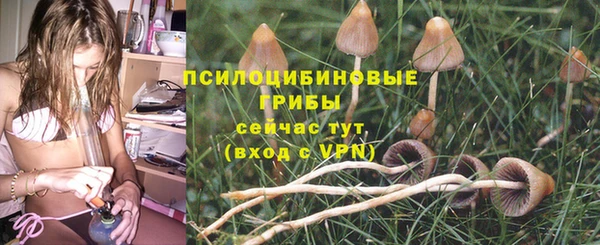 apvp Гусев