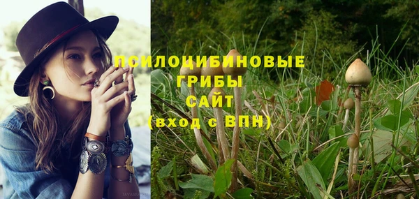 MDMA Горняк
