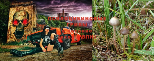 герыч Горнозаводск