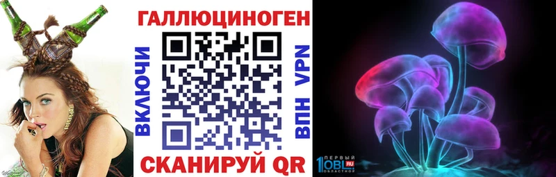 KRAKEN ссылка  Дубовка  Псилоцибиновые грибы Psilocybe 
