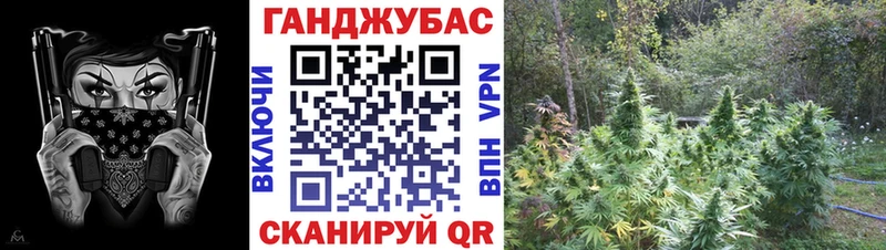купить наркотики сайты  Дубовка  Марихуана Ganja 